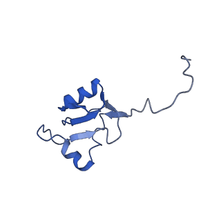 0370_6n8k_a_v1-1
Cryo-EM structure of early cytoplasmic-immediate (ECI) pre-60S ribosomal subunit