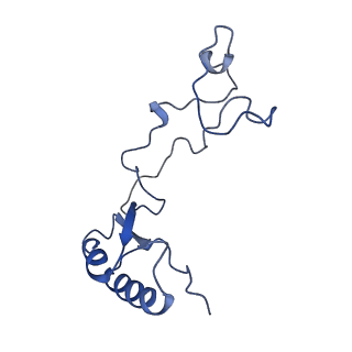 0370_6n8k_e_v1-1
Cryo-EM structure of early cytoplasmic-immediate (ECI) pre-60S ribosomal subunit
