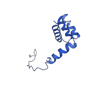 0370_6n8k_i_v1-1
Cryo-EM structure of early cytoplasmic-immediate (ECI) pre-60S ribosomal subunit