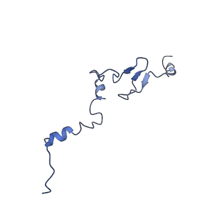 0370_6n8k_j_v1-1
Cryo-EM structure of early cytoplasmic-immediate (ECI) pre-60S ribosomal subunit