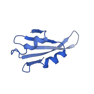 0370_6n8k_k_v1-1
Cryo-EM structure of early cytoplasmic-immediate (ECI) pre-60S ribosomal subunit