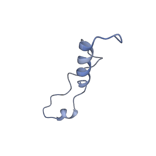 0370_6n8k_l_v1-1
Cryo-EM structure of early cytoplasmic-immediate (ECI) pre-60S ribosomal subunit