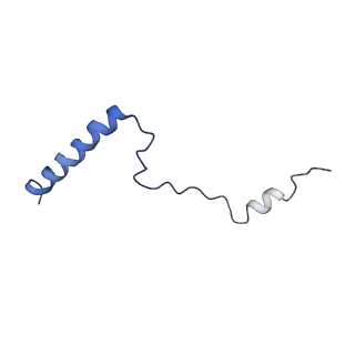 0370_6n8k_o_v1-1
Cryo-EM structure of early cytoplasmic-immediate (ECI) pre-60S ribosomal subunit