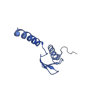 0370_6n8k_p_v1-1
Cryo-EM structure of early cytoplasmic-immediate (ECI) pre-60S ribosomal subunit