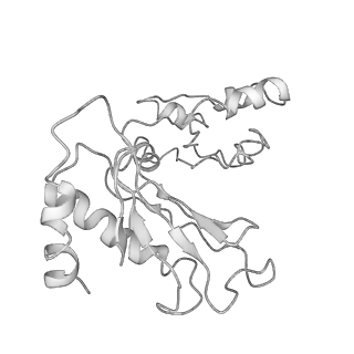 0370_6n8k_s_v1-1
Cryo-EM structure of early cytoplasmic-immediate (ECI) pre-60S ribosomal subunit
