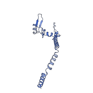 0370_6n8k_u_v1-1
Cryo-EM structure of early cytoplasmic-immediate (ECI) pre-60S ribosomal subunit