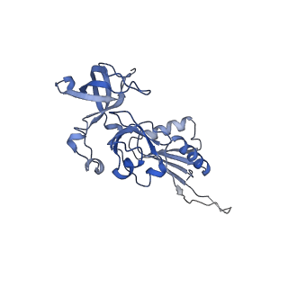 0370_6n8k_v_v1-1
Cryo-EM structure of early cytoplasmic-immediate (ECI) pre-60S ribosomal subunit