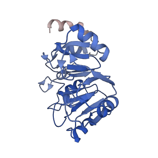 0370_6n8k_y_v1-1
Cryo-EM structure of early cytoplasmic-immediate (ECI) pre-60S ribosomal subunit