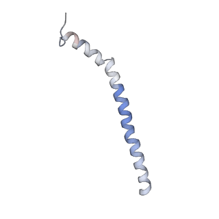 0370_6n8k_z_v1-1
Cryo-EM structure of early cytoplasmic-immediate (ECI) pre-60S ribosomal subunit