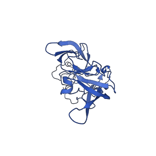 0371_6n8l_A_v1-1
Cryo-EM structure of early cytoplasmic-late (ECL) pre-60S ribosomal subunit