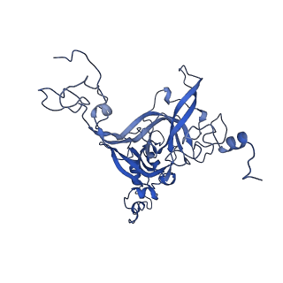 0371_6n8l_B_v1-1
Cryo-EM structure of early cytoplasmic-late (ECL) pre-60S ribosomal subunit