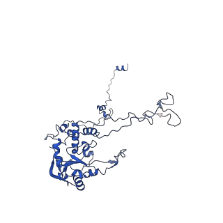 0371_6n8l_C_v1-1
Cryo-EM structure of early cytoplasmic-late (ECL) pre-60S ribosomal subunit