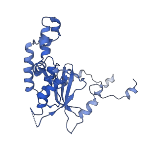0371_6n8l_D_v1-1
Cryo-EM structure of early cytoplasmic-late (ECL) pre-60S ribosomal subunit