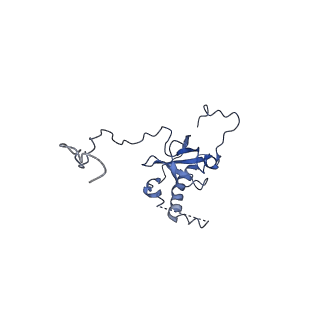 0371_6n8l_E_v1-1
Cryo-EM structure of early cytoplasmic-late (ECL) pre-60S ribosomal subunit