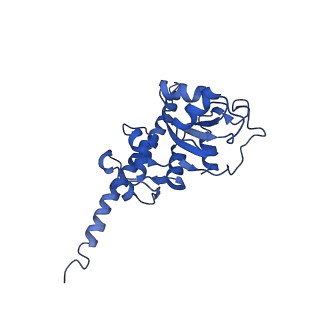 0371_6n8l_F_v1-1
Cryo-EM structure of early cytoplasmic-late (ECL) pre-60S ribosomal subunit