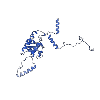 0371_6n8l_G_v1-1
Cryo-EM structure of early cytoplasmic-late (ECL) pre-60S ribosomal subunit