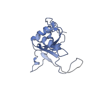 0371_6n8l_J_v1-1
Cryo-EM structure of early cytoplasmic-late (ECL) pre-60S ribosomal subunit