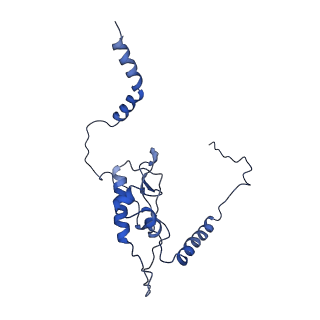 0371_6n8l_L_v1-1
Cryo-EM structure of early cytoplasmic-late (ECL) pre-60S ribosomal subunit