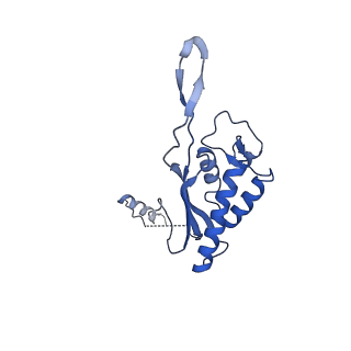 0371_6n8l_P_v1-1
Cryo-EM structure of early cytoplasmic-late (ECL) pre-60S ribosomal subunit