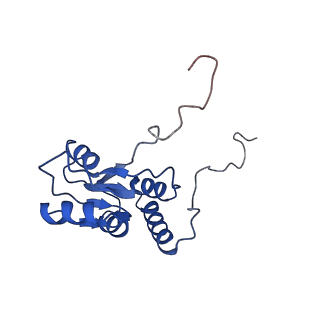 0371_6n8l_Q_v1-1
Cryo-EM structure of early cytoplasmic-late (ECL) pre-60S ribosomal subunit