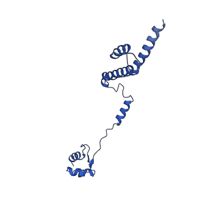 0371_6n8l_R_v1-1
Cryo-EM structure of early cytoplasmic-late (ECL) pre-60S ribosomal subunit