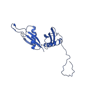 0371_6n8l_S_v1-1
Cryo-EM structure of early cytoplasmic-late (ECL) pre-60S ribosomal subunit