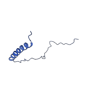 0371_6n8l_T_v1-1
Cryo-EM structure of early cytoplasmic-late (ECL) pre-60S ribosomal subunit