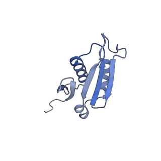 0371_6n8l_U_v1-1
Cryo-EM structure of early cytoplasmic-late (ECL) pre-60S ribosomal subunit
