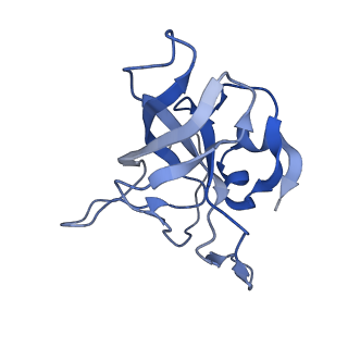 0371_6n8l_V_v1-1
Cryo-EM structure of early cytoplasmic-late (ECL) pre-60S ribosomal subunit
