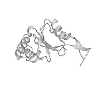 0371_6n8l_W_v1-1
Cryo-EM structure of early cytoplasmic-late (ECL) pre-60S ribosomal subunit