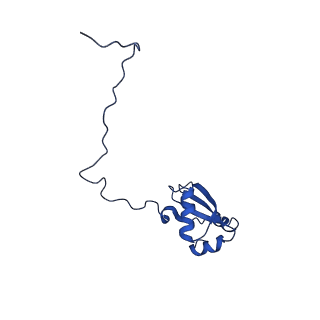0371_6n8l_X_v1-1
Cryo-EM structure of early cytoplasmic-late (ECL) pre-60S ribosomal subunit