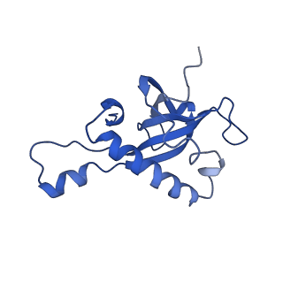 0371_6n8l_Z_v1-1
Cryo-EM structure of early cytoplasmic-late (ECL) pre-60S ribosomal subunit