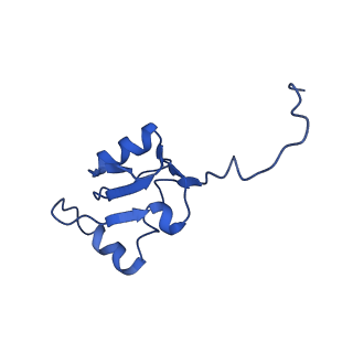 0371_6n8l_a_v1-1
Cryo-EM structure of early cytoplasmic-late (ECL) pre-60S ribosomal subunit