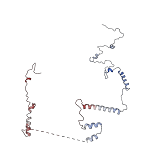 0371_6n8l_b_v1-1
Cryo-EM structure of early cytoplasmic-late (ECL) pre-60S ribosomal subunit