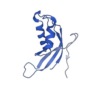 0371_6n8l_d_v1-1
Cryo-EM structure of early cytoplasmic-late (ECL) pre-60S ribosomal subunit