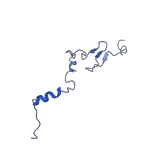 0371_6n8l_j_v1-1
Cryo-EM structure of early cytoplasmic-late (ECL) pre-60S ribosomal subunit