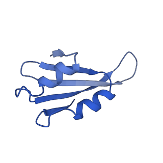 0371_6n8l_k_v1-1
Cryo-EM structure of early cytoplasmic-late (ECL) pre-60S ribosomal subunit