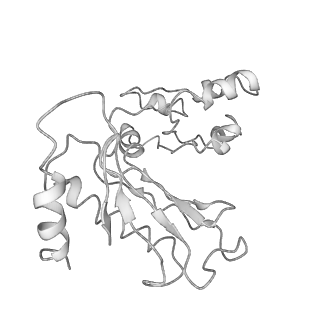 0371_6n8l_s_v1-1
Cryo-EM structure of early cytoplasmic-late (ECL) pre-60S ribosomal subunit