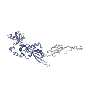 0371_6n8l_v_v1-1
Cryo-EM structure of early cytoplasmic-late (ECL) pre-60S ribosomal subunit