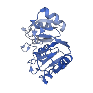 0371_6n8l_y_v1-1
Cryo-EM structure of early cytoplasmic-late (ECL) pre-60S ribosomal subunit