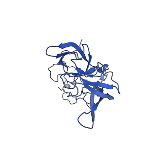 0372_6n8m_D_v1-1
Cryo-EM structure of pre-Lsg1 (PL) pre-60S ribosomal subunit