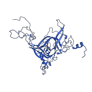 0372_6n8m_E_v1-1
Cryo-EM structure of pre-Lsg1 (PL) pre-60S ribosomal subunit