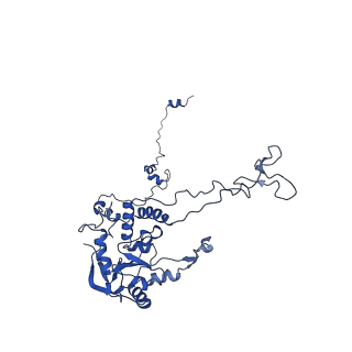 0372_6n8m_F_v1-1
Cryo-EM structure of pre-Lsg1 (PL) pre-60S ribosomal subunit