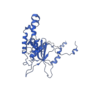 0372_6n8m_G_v1-1
Cryo-EM structure of pre-Lsg1 (PL) pre-60S ribosomal subunit