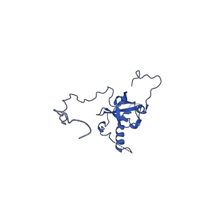 0372_6n8m_H_v1-1
Cryo-EM structure of pre-Lsg1 (PL) pre-60S ribosomal subunit