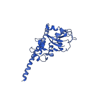 0372_6n8m_I_v1-1
Cryo-EM structure of pre-Lsg1 (PL) pre-60S ribosomal subunit
