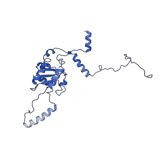 0372_6n8m_J_v1-1
Cryo-EM structure of pre-Lsg1 (PL) pre-60S ribosomal subunit