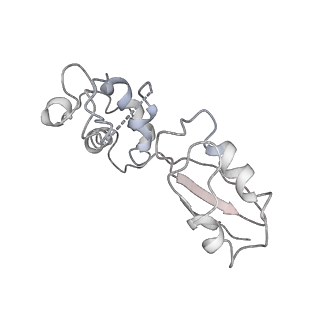 0372_6n8m_L_v1-1
Cryo-EM structure of pre-Lsg1 (PL) pre-60S ribosomal subunit