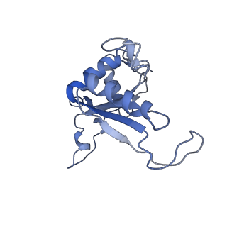0372_6n8m_M_v1-1
Cryo-EM structure of pre-Lsg1 (PL) pre-60S ribosomal subunit