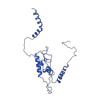 0372_6n8m_N_v1-1
Cryo-EM structure of pre-Lsg1 (PL) pre-60S ribosomal subunit
